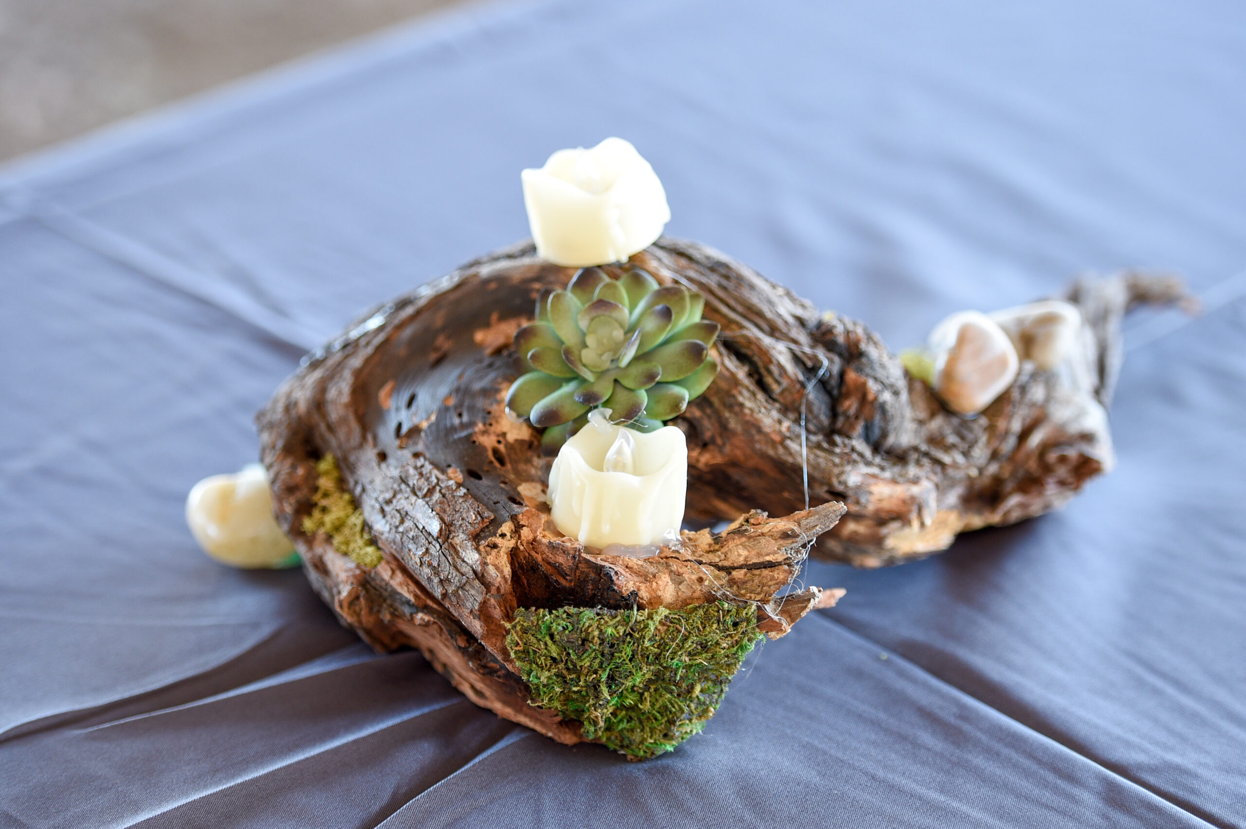 Mesquite root centerpieces